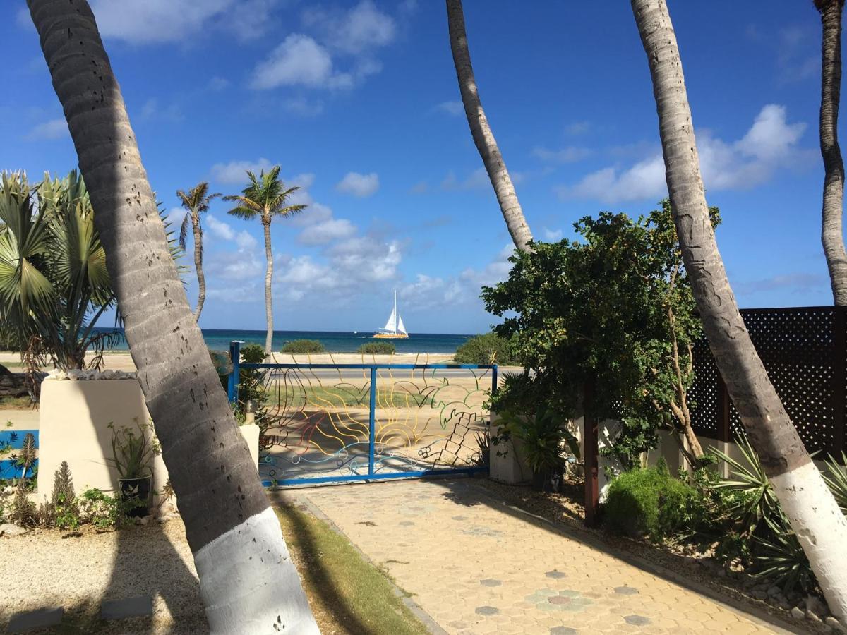 Aruba Sunset Beach Studios Palm Beach Exteriör bild