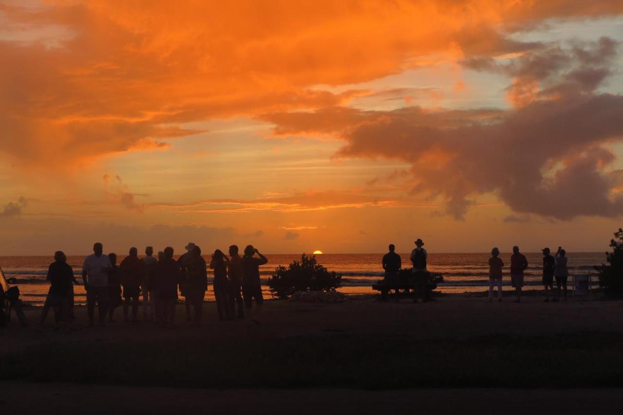 Aruba Sunset Beach Studios Palm Beach Exteriör bild