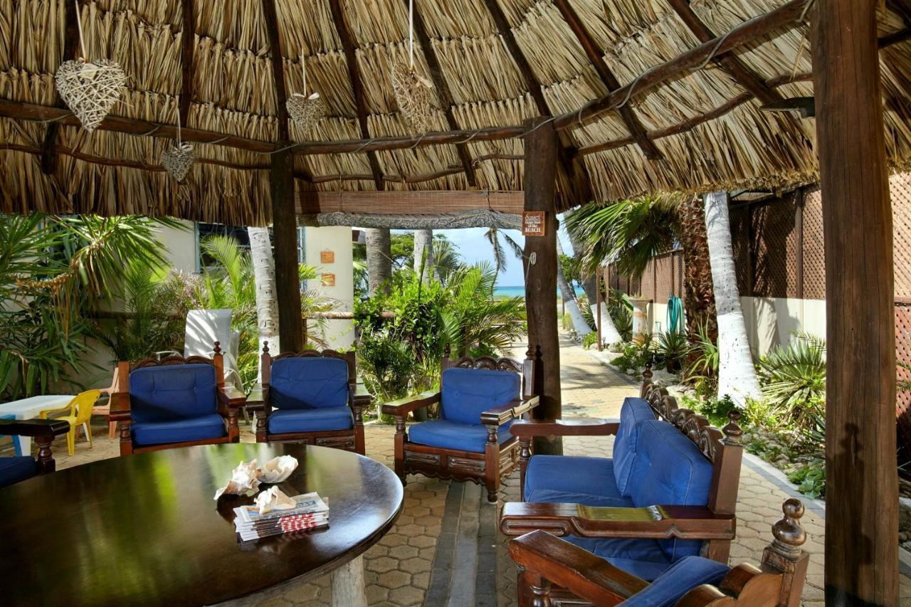 Aruba Sunset Beach Studios Palm Beach Exteriör bild