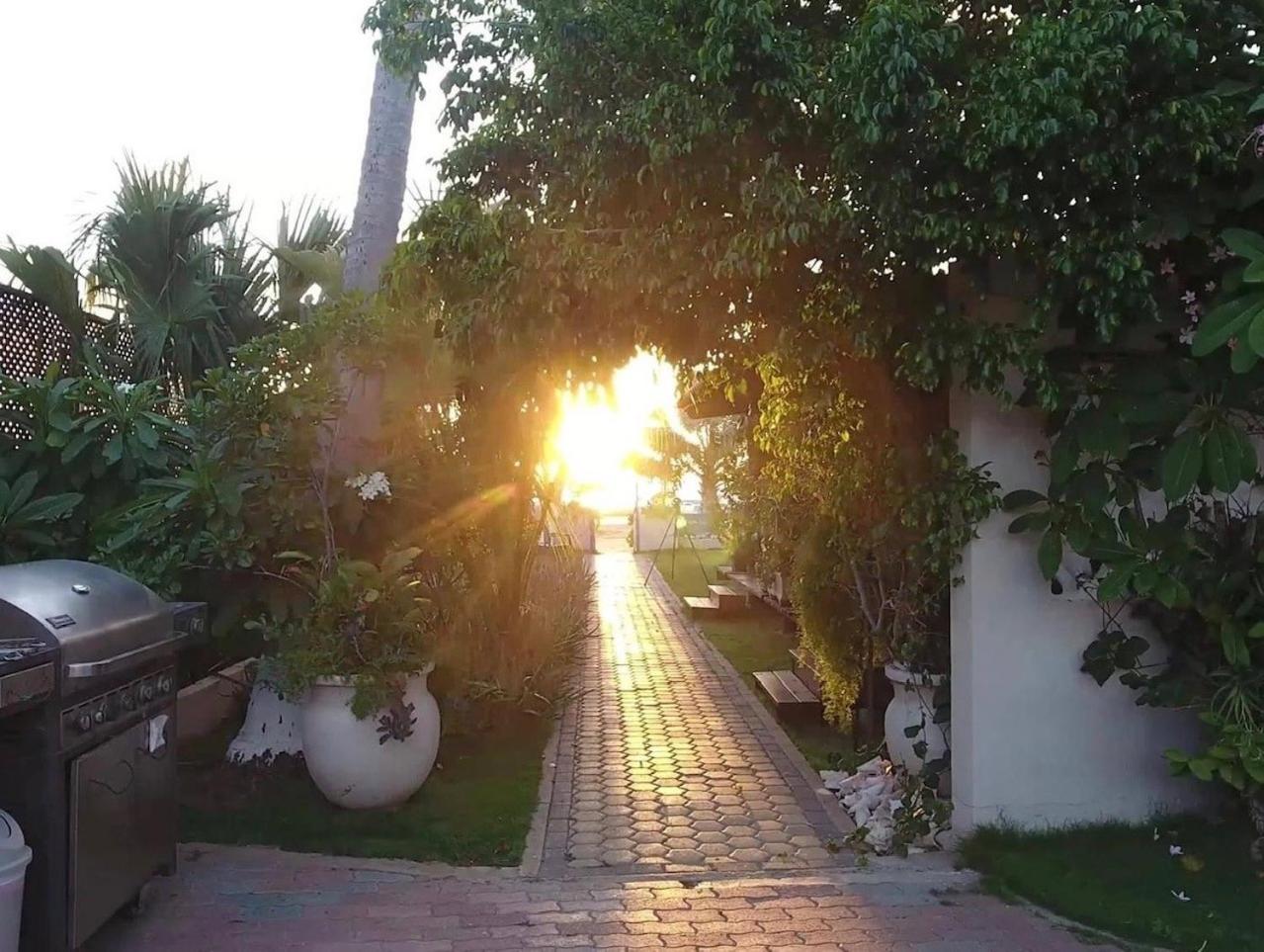 Aruba Sunset Beach Studios Palm Beach Exteriör bild