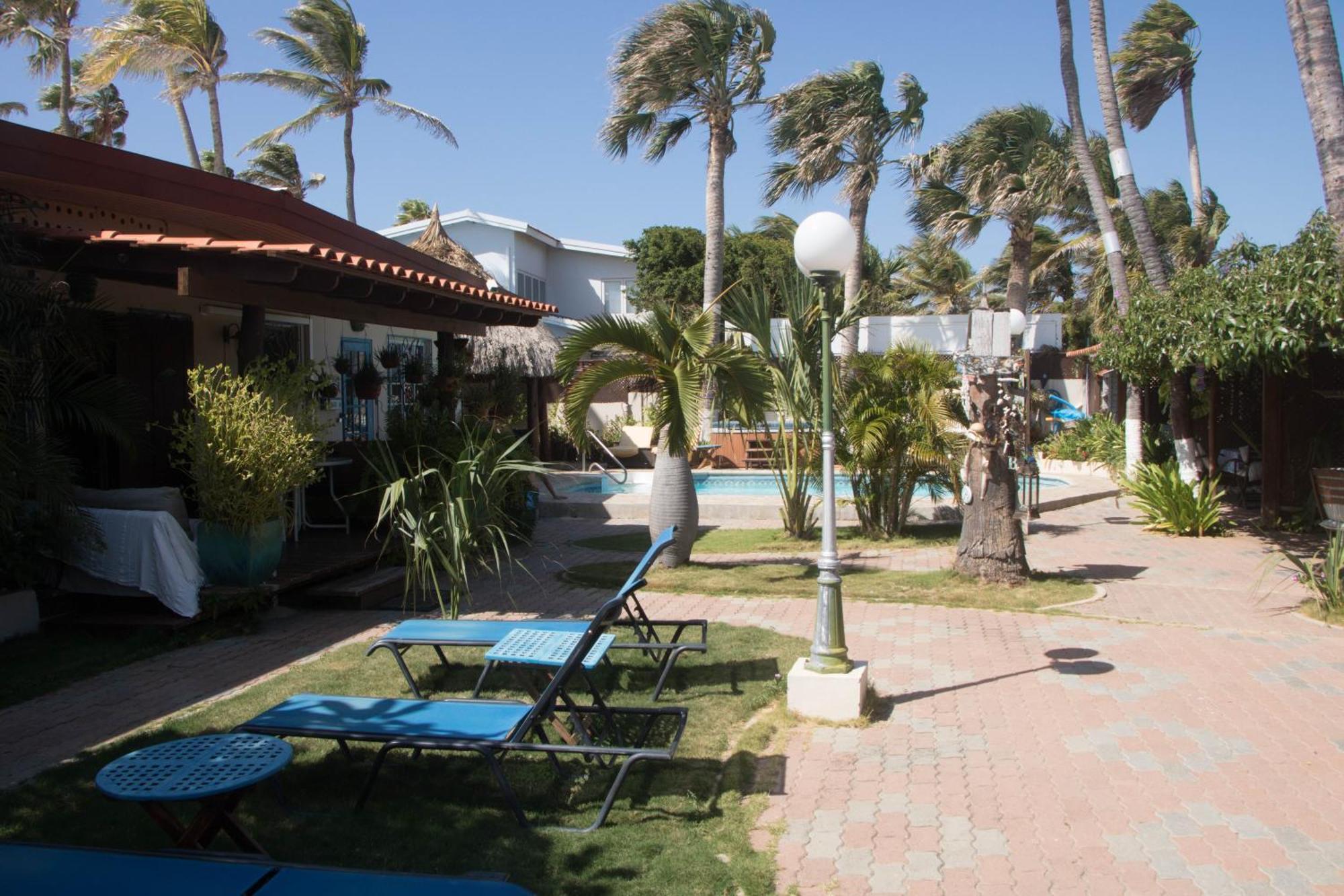 Aruba Sunset Beach Studios Palm Beach Exteriör bild