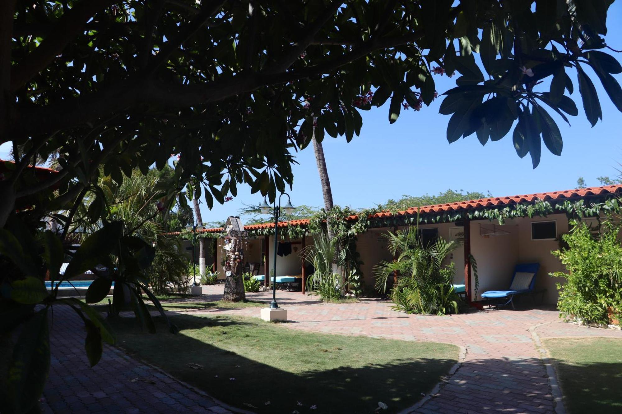 Aruba Sunset Beach Studios Palm Beach Exteriör bild