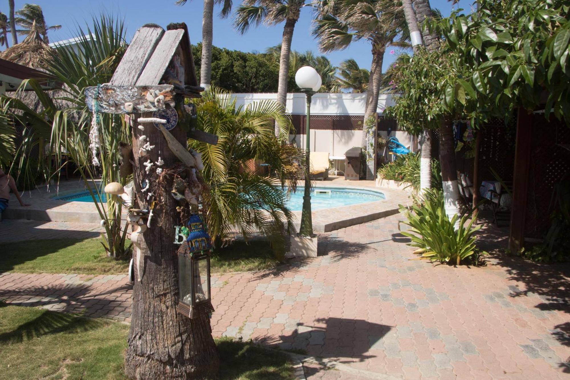 Aruba Sunset Beach Studios Palm Beach Exteriör bild